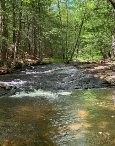 Stream