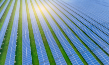 solar farm